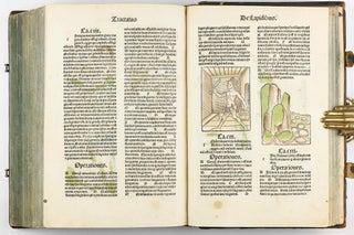 Hortus Sanitatis.