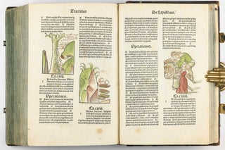 Hortus Sanitatis.