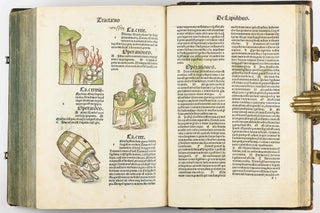 Hortus Sanitatis.