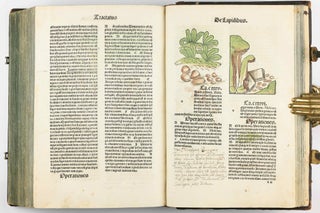 Hortus Sanitatis.
