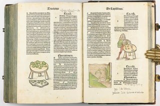 Hortus Sanitatis.
