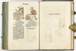Hortus Sanitatis.