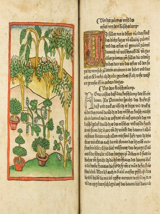 Das Buch der Natur / Regimen sanitatis - Das ist von der ordenung der gesuntheyt.