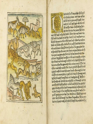 Das Buch der Natur / Regimen sanitatis - Das ist von der ordenung der gesuntheyt.