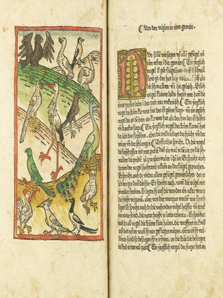 Das Buch der Natur / Regimen sanitatis - Das ist von der ordenung der gesuntheyt.