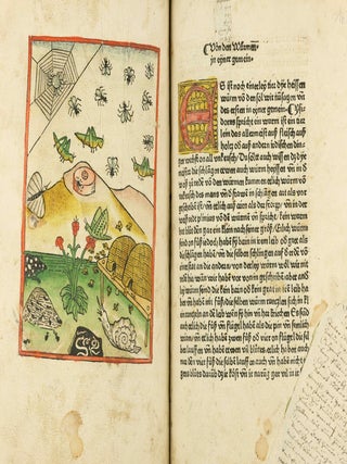 Das Buch der Natur / Regimen sanitatis - Das ist von der ordenung der gesuntheyt.