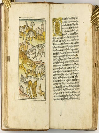 Das Buch der Natur / Regimen sanitatis - Das ist von der ordenung der gesuntheyt.