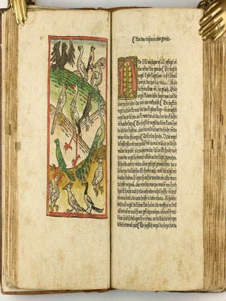 Das Buch der Natur / Regimen sanitatis - Das ist von der ordenung der gesuntheyt.