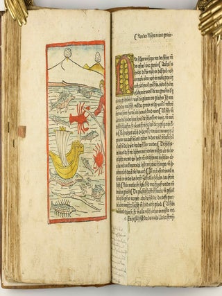 Das Buch der Natur / Regimen sanitatis - Das ist von der ordenung der gesuntheyt.