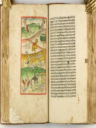 Das Buch der Natur / Regimen sanitatis - Das ist von der ordenung der gesuntheyt.