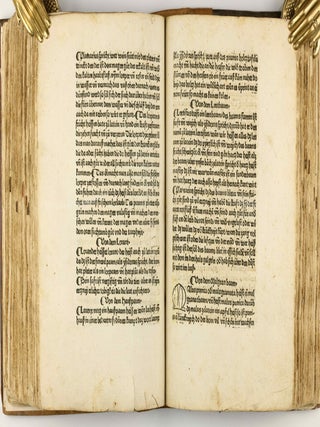 Das Buch der Natur / Regimen sanitatis - Das ist von der ordenung der gesuntheyt.