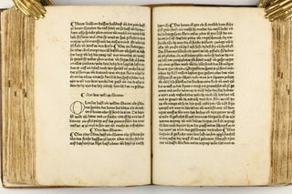 Das Buch der Natur / Regimen sanitatis - Das ist von der ordenung der gesuntheyt.