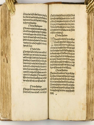 Das Buch der Natur / Regimen sanitatis - Das ist von der ordenung der gesuntheyt.