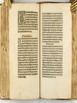 Das Buch der Natur / Regimen sanitatis - Das ist von der ordenung der gesuntheyt.