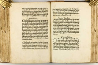 Das Buch der Natur / Regimen sanitatis - Das ist von der ordenung der gesuntheyt.