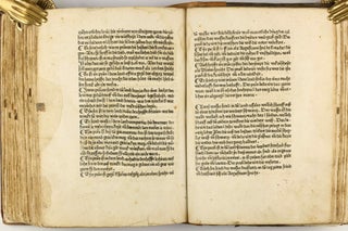 Das Buch der Natur / Regimen sanitatis - Das ist von der ordenung der gesuntheyt.