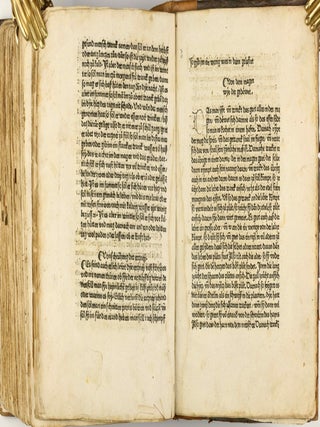 Das Buch der Natur / Regimen sanitatis - Das ist von der ordenung der gesuntheyt.