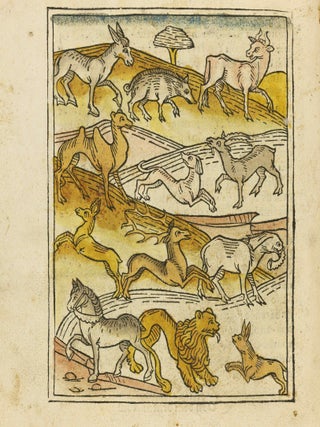 Das Buch der Natur / Regimen sanitatis - Das ist von der ordenung der gesuntheyt.