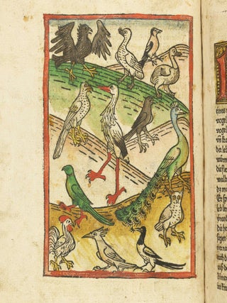 Das Buch der Natur / Regimen sanitatis - Das ist von der ordenung der gesuntheyt.