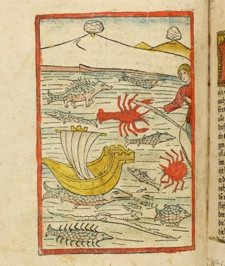 Das Buch der Natur / Regimen sanitatis - Das ist von der ordenung der gesuntheyt.