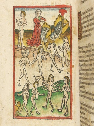 Das Buch der Natur / Regimen sanitatis - Das ist von der ordenung der gesuntheyt.