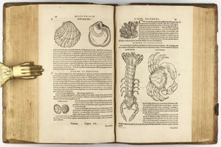Botanicon, continens herbarum, aliorumque simplicium, quorum usus in Medicinis est, descriptiones, & iconas ad vivum Effigiatas; ex praecipuis tam Grecis quàm Latinis Authoribus iam recens concinnatum. Additis etiam, quae Neotericorum observationes & experientiae vel comprobarunt denuo, uel nuper invenerunt. . . / De Medicinali Materia Libri Sex, Ioanne Ruellio Suessionensi interprete. Singulis cum stirpium, tum animantium. Accesserunt priori editioni, Valerii Cordi Simesusii annotationes doctissimae . Euricii Cordi Simesusii iudicium de Herbis & Simplicibus Medicinae. Remedia morborum, miro ordine complectitur. . .