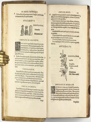 Botanicon, continens herbarum, aliorumque simplicium, quorum usus in Medicinis est, descriptiones, & iconas ad vivum Effigiatas; ex praecipuis tam Grecis quàm Latinis Authoribus iam recens concinnatum. Additis etiam, quae Neotericorum observationes & experientiae vel comprobarunt denuo, uel nuper invenerunt. . . / De Medicinali Materia Libri Sex, Ioanne Ruellio Suessionensi interprete. Singulis cum stirpium, tum animantium. Accesserunt priori editioni, Valerii Cordi Simesusii annotationes doctissimae . Euricii Cordi Simesusii iudicium de Herbis & Simplicibus Medicinae. Remedia morborum, miro ordine complectitur. . .