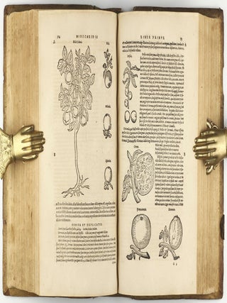 Botanicon, continens herbarum, aliorumque simplicium, quorum usus in Medicinis est, descriptiones, & iconas ad vivum Effigiatas; ex praecipuis tam Grecis quàm Latinis Authoribus iam recens concinnatum. Additis etiam, quae Neotericorum observationes & experientiae vel comprobarunt denuo, uel nuper invenerunt. . . / De Medicinali Materia Libri Sex, Ioanne Ruellio Suessionensi interprete. Singulis cum stirpium, tum animantium. Accesserunt priori editioni, Valerii Cordi Simesusii annotationes doctissimae . Euricii Cordi Simesusii iudicium de Herbis & Simplicibus Medicinae. Remedia morborum, miro ordine complectitur. . .