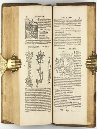 Botanicon, continens herbarum, aliorumque simplicium, quorum usus in Medicinis est, descriptiones, & iconas ad vivum Effigiatas; ex praecipuis tam Grecis quàm Latinis Authoribus iam recens concinnatum. Additis etiam, quae Neotericorum observationes & experientiae vel comprobarunt denuo, uel nuper invenerunt. . . / De Medicinali Materia Libri Sex, Ioanne Ruellio Suessionensi interprete. Singulis cum stirpium, tum animantium. Accesserunt priori editioni, Valerii Cordi Simesusii annotationes doctissimae . Euricii Cordi Simesusii iudicium de Herbis & Simplicibus Medicinae. Remedia morborum, miro ordine complectitur. . .