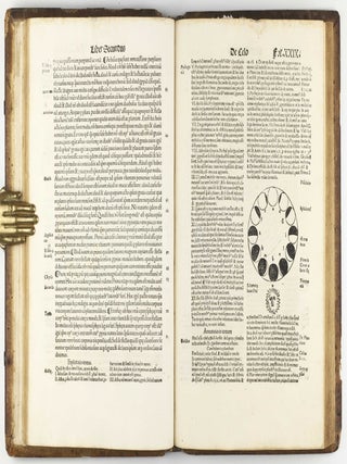 Libri de coelo IIII, de generatione II, meteorum IIII. Argiropilo, Nypho, Boetio interprete. Adiectis Eckij commentariis.