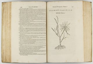 Phytologiae; hoc est De Plantis partis primae tomus primus. (all published).