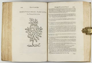 Phytologiae; hoc est De Plantis partis primae tomus primus. (all published).