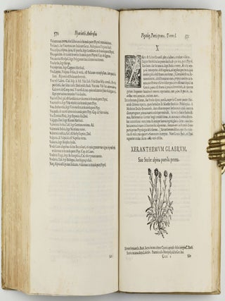 Phytologiae; hoc est De Plantis partis primae tomus primus. (all published).