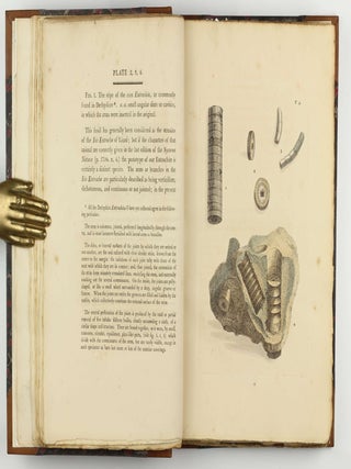 Petrificata Derbiensia; or, Figures and Descriptions of Petrifactions Collected in Derbyshire. Volume I (all published).