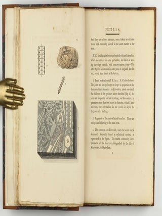 Petrificata Derbiensia; or, Figures and Descriptions of Petrifactions Collected in Derbyshire. Volume I (all published).