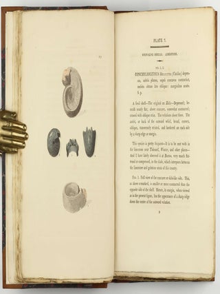 Petrificata Derbiensia; or, Figures and Descriptions of Petrifactions Collected in Derbyshire. Volume I (all published).
