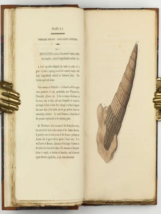 Petrificata Derbiensia; or, Figures and Descriptions of Petrifactions Collected in Derbyshire. Volume I (all published).