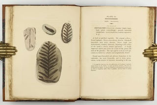 Petrificata Derbiensia; or, Figures and Descriptions of Petrifactions Collected in Derbyshire. Volume I (all published).