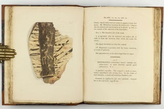Petrificata Derbiensia; or, Figures and Descriptions of Petrifactions Collected in Derbyshire. Volume I (all published).