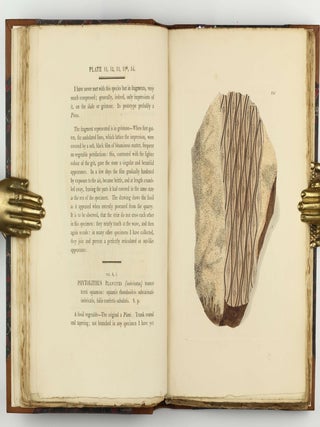 Petrificata Derbiensia; or, Figures and Descriptions of Petrifactions Collected in Derbyshire. Volume I (all published).