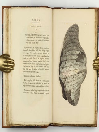 Petrificata Derbiensia; or, Figures and Descriptions of Petrifactions Collected in Derbyshire. Volume I (all published).
