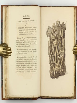 Petrificata Derbiensia; or, Figures and Descriptions of Petrifactions Collected in Derbyshire. Volume I (all published).