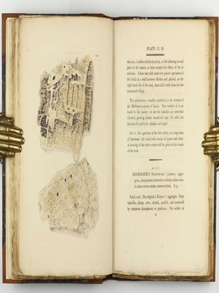 Petrificata Derbiensia; or, Figures and Descriptions of Petrifactions Collected in Derbyshire. Volume I (all published).