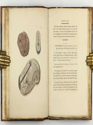 Petrificata Derbiensia; or, Figures and Descriptions of Petrifactions Collected in Derbyshire. Volume I (all published).