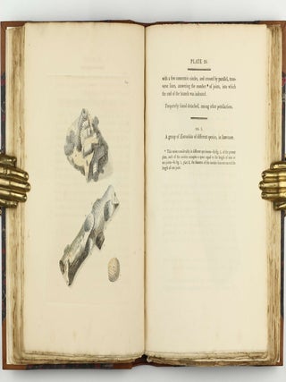 Petrificata Derbiensia; or, Figures and Descriptions of Petrifactions Collected in Derbyshire. Volume I (all published).