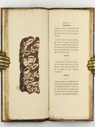 Petrificata Derbiensia; or, Figures and Descriptions of Petrifactions Collected in Derbyshire. Volume I (all published).