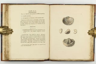 Petrificata Derbiensia; or, Figures and Descriptions of Petrifactions Collected in Derbyshire. Volume I (all published).