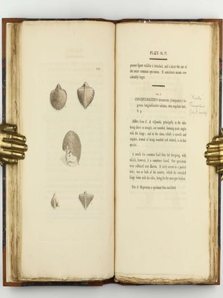 Petrificata Derbiensia; or, Figures and Descriptions of Petrifactions Collected in Derbyshire. Volume I (all published).