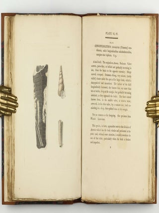 Petrificata Derbiensia; or, Figures and Descriptions of Petrifactions Collected in Derbyshire. Volume I (all published).