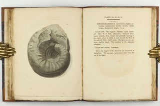 Petrificata Derbiensia; or, Figures and Descriptions of Petrifactions Collected in Derbyshire. Volume I (all published).